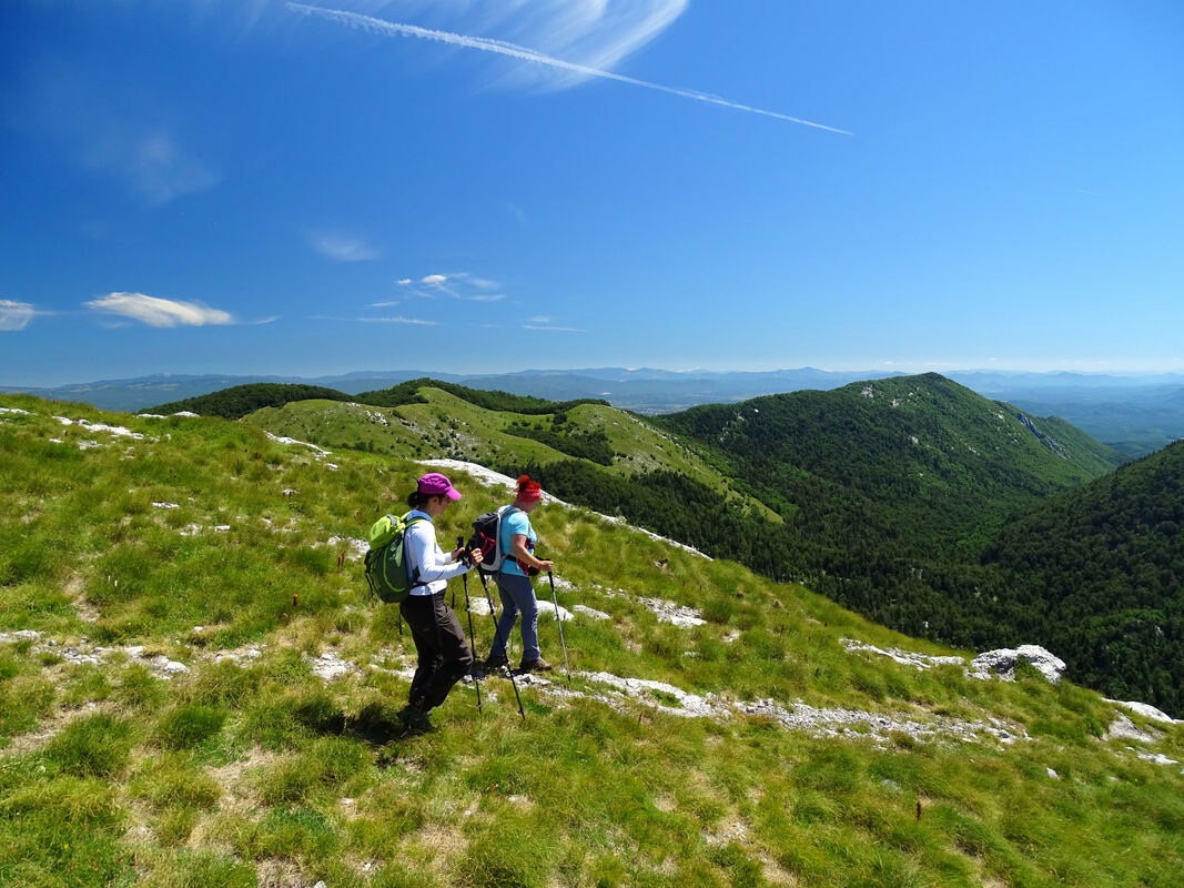Pogled s padine Ljubičkog brda prema grebenu Metlačke skupine